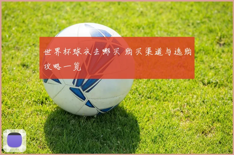 世界杯球衣去哪买 购买渠道与选购攻略一览