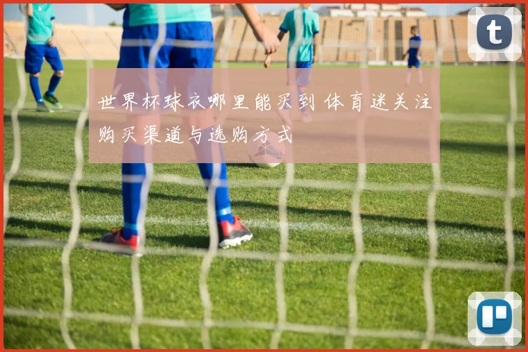 世界杯球衣哪里能买到 体育迷关注购买渠道与选购方式