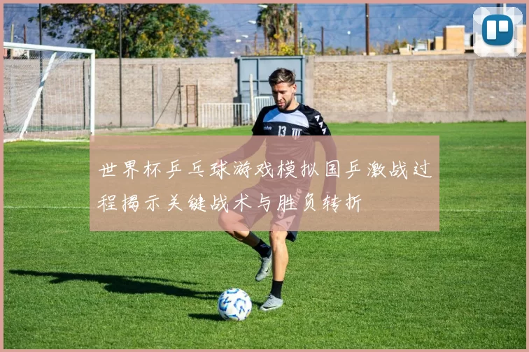 世界杯乒乓球游戏模拟国乒激战过程揭示关键战术与胜负转折